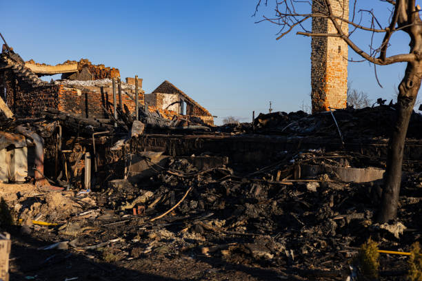 Reliable Content Restoration contractor in Skykomish, WA by Meridian Smoke Damage